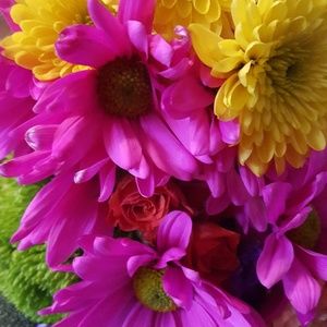 Meet your Posher, Sherry